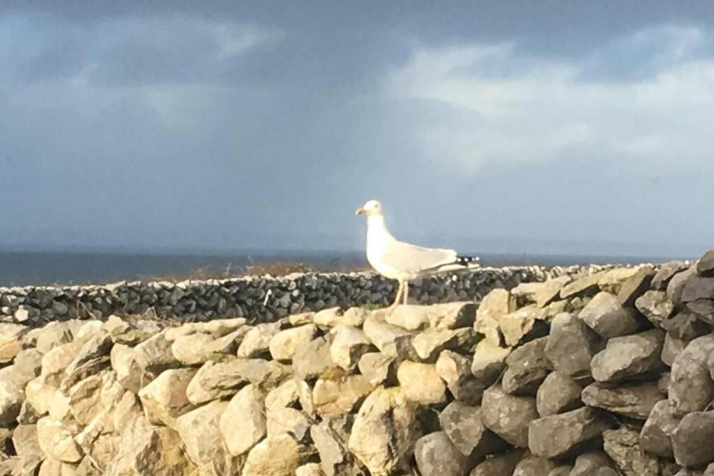 Apartment On Wild Atlantic Way Fanore 외부 사진