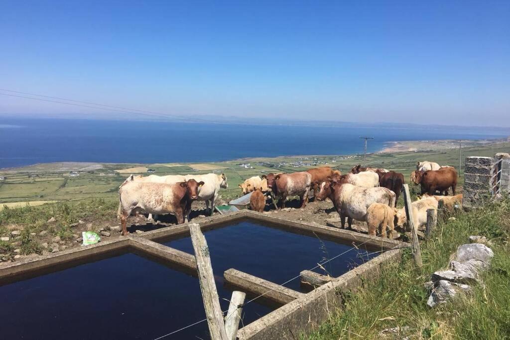 Apartment On Wild Atlantic Way Fanore 외부 사진